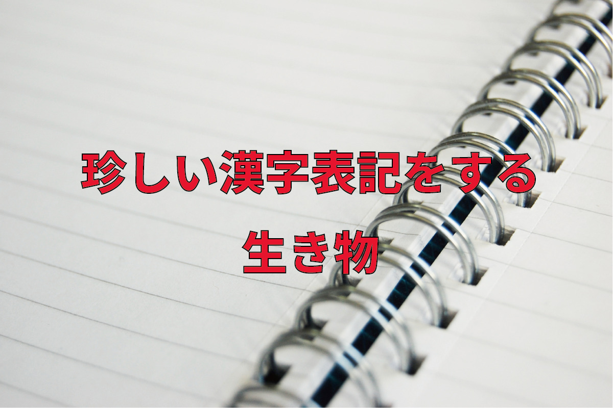 読めたらすごい!珍しい漢字表記をする難読な生き物の名前!