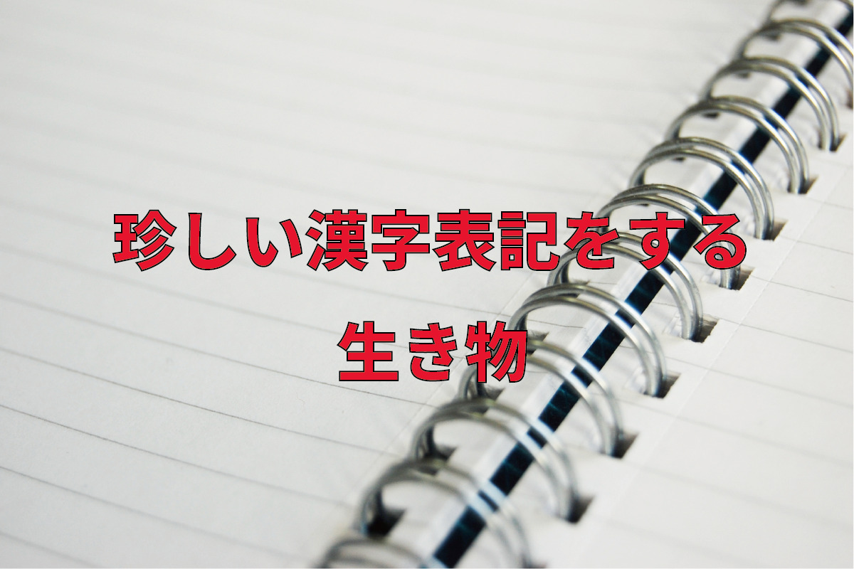 読めたらすごい！珍しい漢字表記をする難読な生き物の名前！