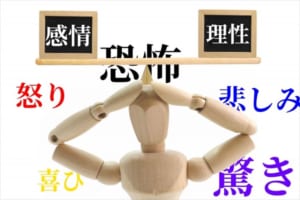 恐怖遺伝子と呼ばれる「セロトニントランスポーター遺伝子」のせいで、日本人は未来に希望が持てない？