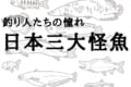 【日本三大怪魚】それは希少性の高い釣り人たちの憧れの魚たち!!