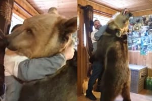 「中に人間が入っているみたい」巨大なクマとの迫力満点な抱擁シーンが話題に