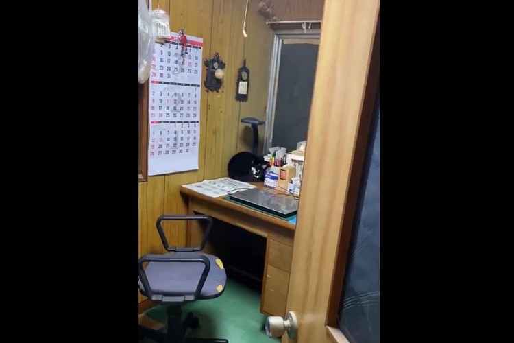 謎の音が聞こえるから見に行くと、ニャンとも奇怪な現象に遭遇「ホラーっぽいけど可愛い(笑)」