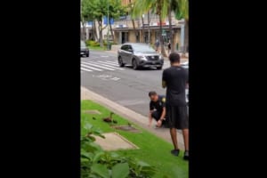 カモの家族が道路を横断できるよう通行止めに！警察官のやさしさ溢れる対応にほっこり