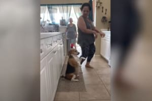 クネクネダンスが楽しいワン！飼い主と一緒に踊るビーグルがめちゃめちゃ可愛い