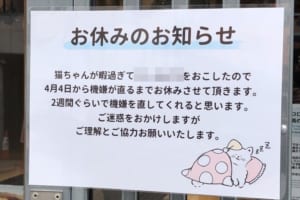 コロナショックでお休みかと思ったら･･･猫のいるカフェの休業理由にほっこり