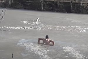 凍った川で身動きできないワンコ。勇気ある男性が裸で救助に向かうも予想外の結末に！