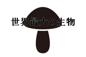 世界最大の生物はゾウでもシロナガスクジラでもなかった！では何が世界一なのか？