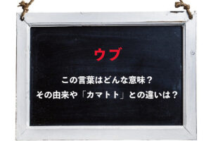 「ウブ」と言われたら喜んでいいの？その意味や語源は？「カマトト」との違いは？