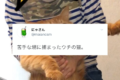 「もう終わりだニャ･･･」苦手にしているという男の子に捕まった猫。その顔はすっかり絶望感に覆われていました【Twitter・写真】