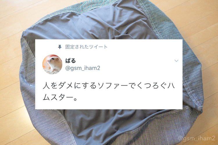 「あぁ、最高だなぁ♪」人をダメにするソファでくつろぐハムスターが超可愛い！