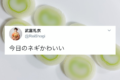 幸せな気持ちになる〜♪ネギを切ったら断面からカワイイ模様が現れた!
