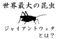 【ジャイアントウェタ】世界一巨大な昆虫はまさかのコオロギ!その驚異の大きさとは!?