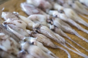 イカの数え方は「杯」とは限らない！他にもある数え方とその使い分け