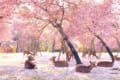 iPhoneをかざすと花の名前がわかるアプリが凄い!試しにワンコにもかざしてみたら・・・(笑)