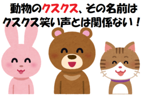 「クスクス」なんだか笑い声みたいなかわいい名前の動物だけど･･･、その名前の由来は全然かわいくなかった！