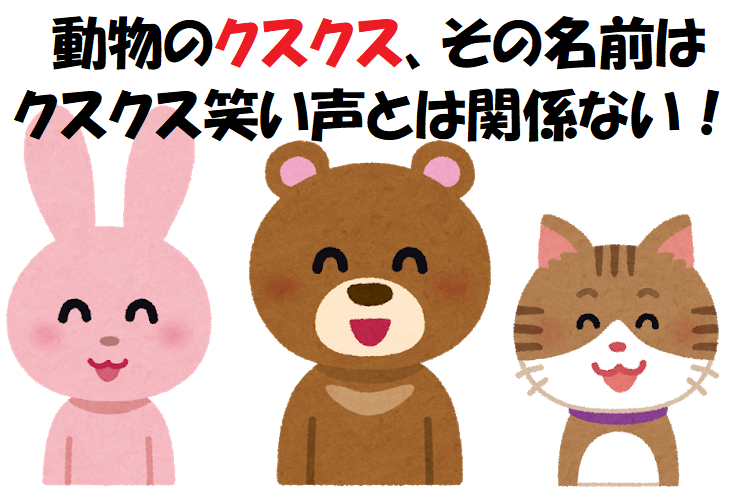 「クスクス」なんだか笑い声みたいなかわいい名前の動物だけど･･･、その名前の由来は全然かわいくなかった！