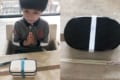 市川海老蔵の長女・麗禾ちゃん(8歳)が作ったお弁当が凄い!ファンもクオリティを絶賛