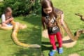 「彼らはとても優しく従順な動物です」ニシキヘビと寄り添って遊ぶ7歳の少女が話題に