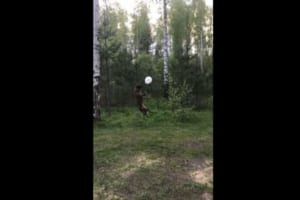 見よ！この跳躍力！風船遊びをするワンコの身体能力がすごすぎる