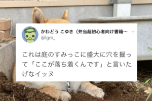 温泉に入っているみたい(笑)盛大に穴を掘って満足気な表情でくつろぐワンコ