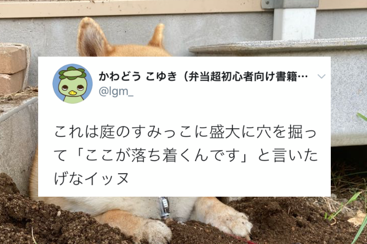 温泉に入っているみたい(笑)盛大に穴を掘って満足気な表情でくつろぐワンコ