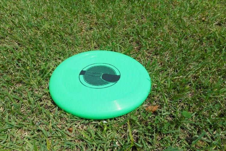 フリスビー競技が熱い！アルティメットやディスカソンなど魅力的な競技がたくさん！