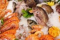 「魚介類」と「魚貝類」はどちらが正しい?違いはあるのか?