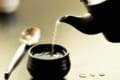 「玉露」とはどんなお茶?緑茶や煎茶、ほうじ茶とは違うの?