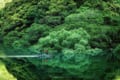 水面が一瞬わからなかった・・・偶然見つけた新緑の水鏡が幻想的