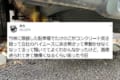 たけのこの生命力を実感!車を1ヶ月以上停めていたら凄いことになっていた・・・