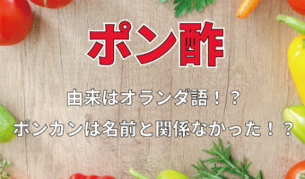 【知ってた?】「ポン酢」は元々オランダ語。その名前はポンカンとは全く関係ないんです!!