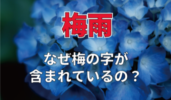 梅雨にはなぜ「梅」の字が入っているの？梅雨の意味や名称に関する豆知識を解説
