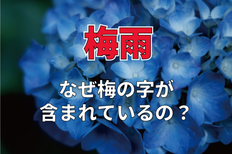 梅雨にはなぜ「梅」の字が入っているの？梅雨の意味や名称に関する豆知識を解説