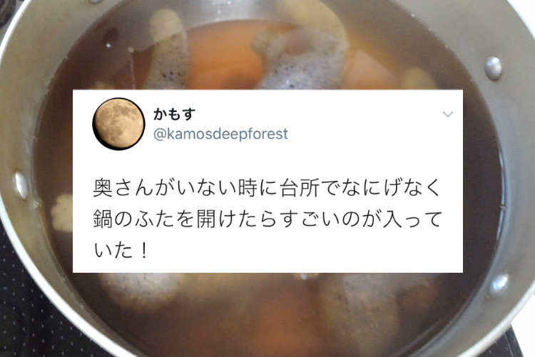 妻がいない時に台所で何気なく鍋のふたを開けたら･･･すごいモノを目撃してしまった！