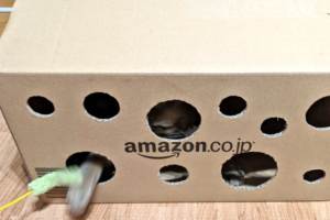 猫飼いさん必見！ダイソーのコンパスカッターでダンボールがニャンコの喜ぶおもちゃに