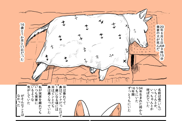 「可愛くて優しい私の弟」実家の愛犬が天国に旅立った話を描いた漫画に涙が止まらない