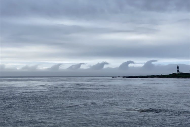 まぐろのヒレにも見える！？青森県大間町で発見された不思議な雲が話題に