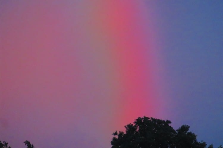 儚い空という言葉がぴったり。梅雨空の朝に一瞬だけ現れた「赤い虹」が話題に！