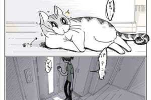 寝起きでもちゃんとお迎えしてくれるニャンコに共感の声「たまらなく愛おしい」