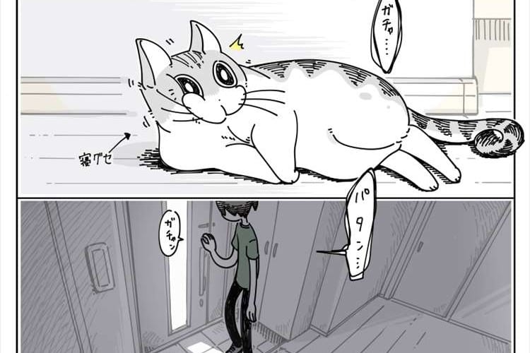 寝起きでもちゃんとお迎えしてくれるニャンコに共感の声「たまらなく愛おしい」