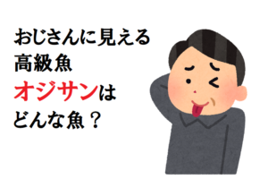 その名前はおじさんに見えるから！？変わった名前の魚「オジサン」とはどんな魚？