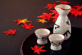 全国に様々な鬼ころしがあるって知ってた?「鬼ころし」は各社で開発されている日本酒なんです!!