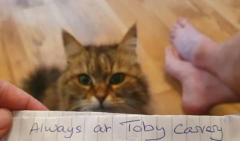 首輪についたメモ紙で発覚！飼い主に内緒で二重生活を送っていた食いしん坊ニャンコ