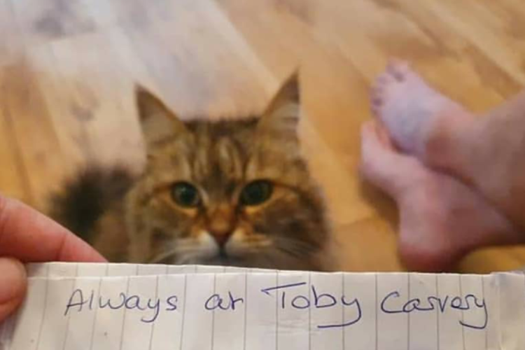 首輪についたメモ紙で発覚！飼い主に内緒で二重生活を送っていた食いしん坊ニャンコ