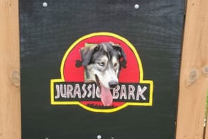 フェンスの穴に設置されたワンコ用の顔出しパネルがユーモアたっぷりで面白い！