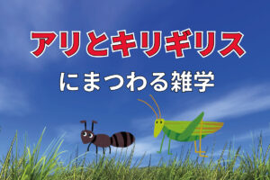 イソップ物語に出てくる「アリとキリギリス」。実は最初、夏を楽しく過ごしていたのはキリギリスではなかった！？