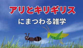 イソップ物語に出てくる「アリとキリギリス」。実は最初、夏を楽しく過ごしていたのはキリギリスではなかった!?