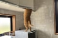 普通に開けられるんかこいつ(笑) おやつハンターの執念深さが話題に!犯行中の動画も必見!