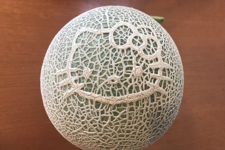 一体どうやって作ってるの！？網目がキティちゃんになっているメロンが話題に！