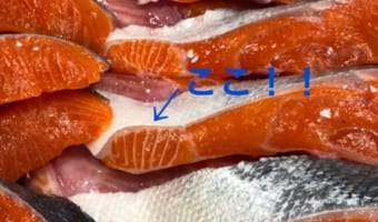 知らない人が多い？ここが鮭の大トロ。この白い筋を見つけたら即購入をオススメ！